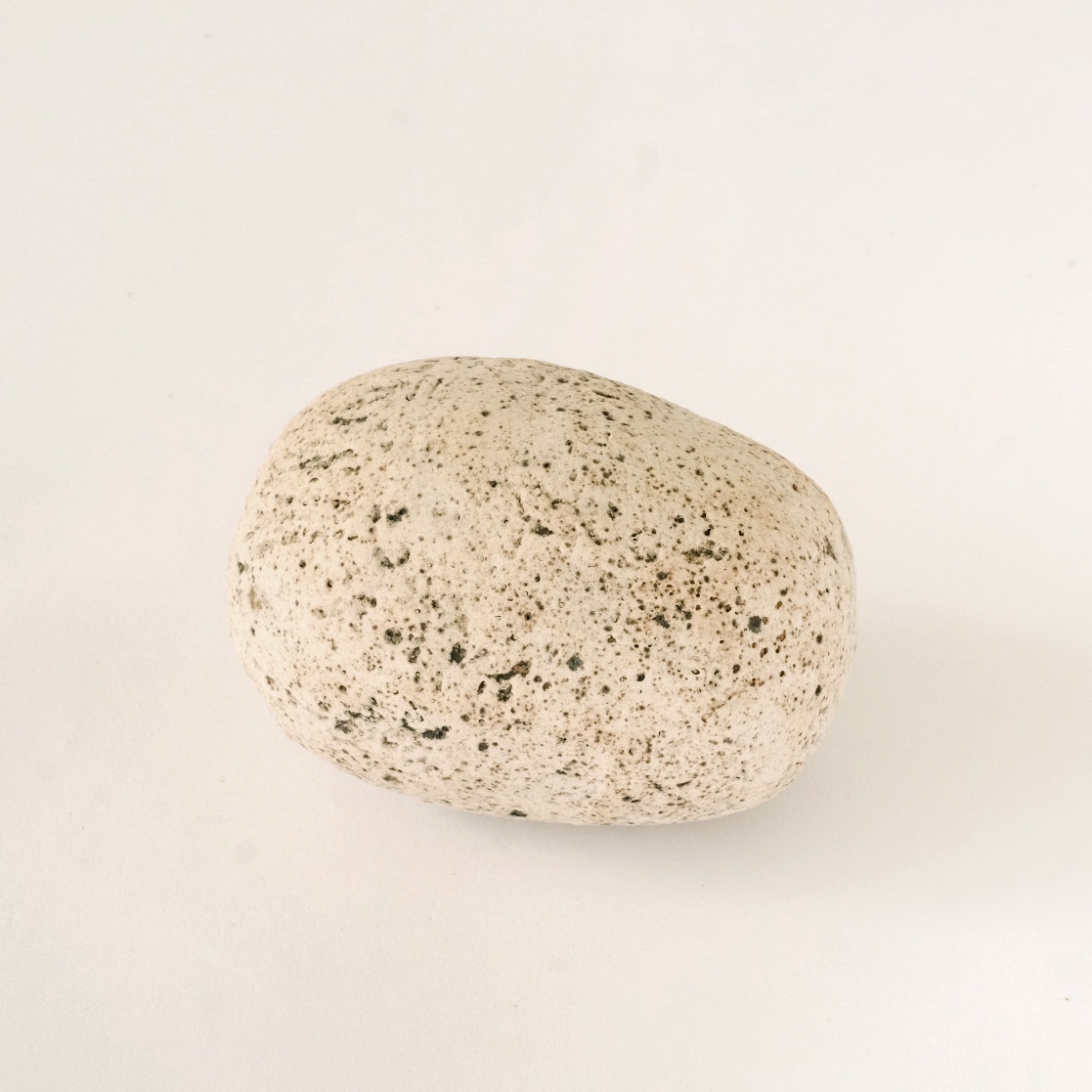 egg of life XIII