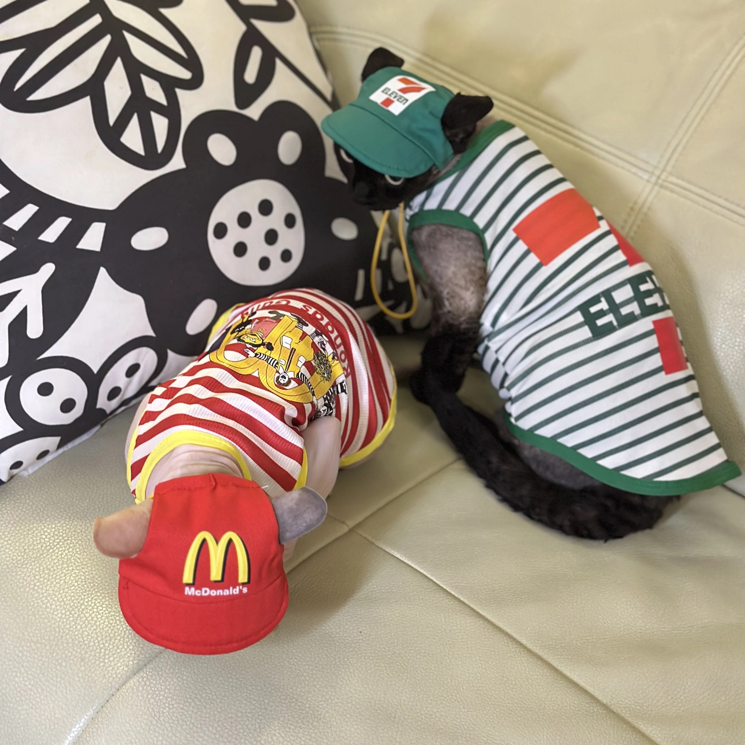 宠物背心配帽子 7ELEVEN & MCDONALDS 猫狗衣服（两件套）