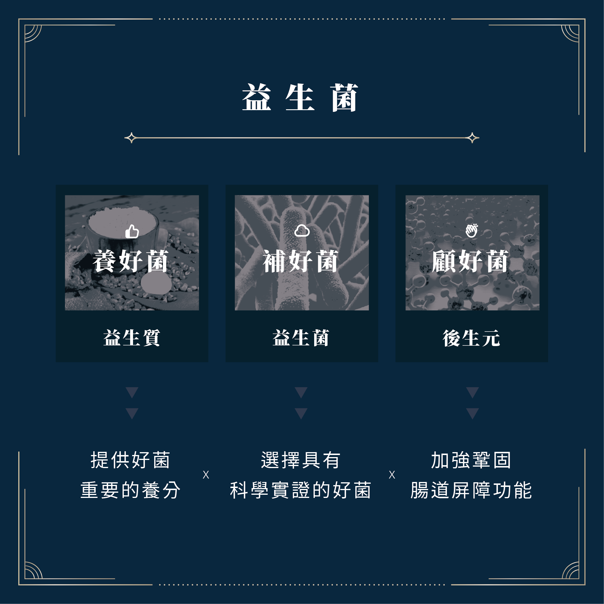 益生菌 / 益生質 / 後生元分別專業解析