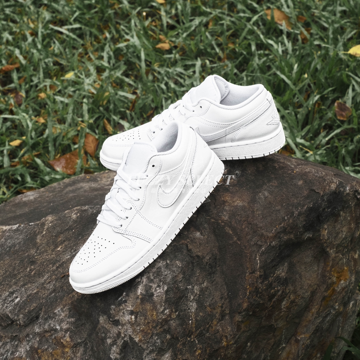 【逢甲 FUZZY】Air Jordan 1 Low "White" 全白 553558-136 DV0990-111