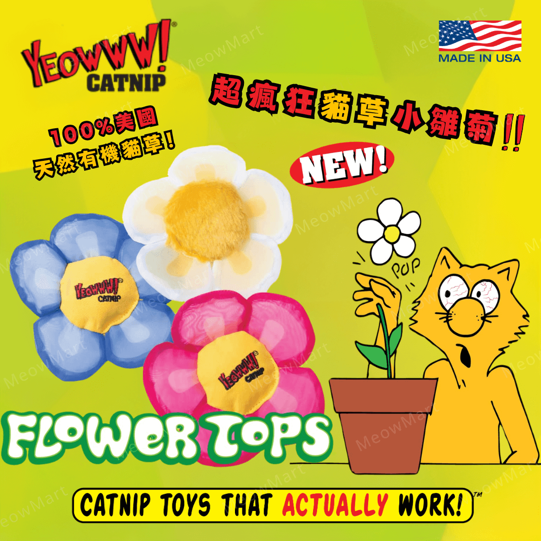 【現貨8折】Yeowww! Daisy's 貓草小雛菊