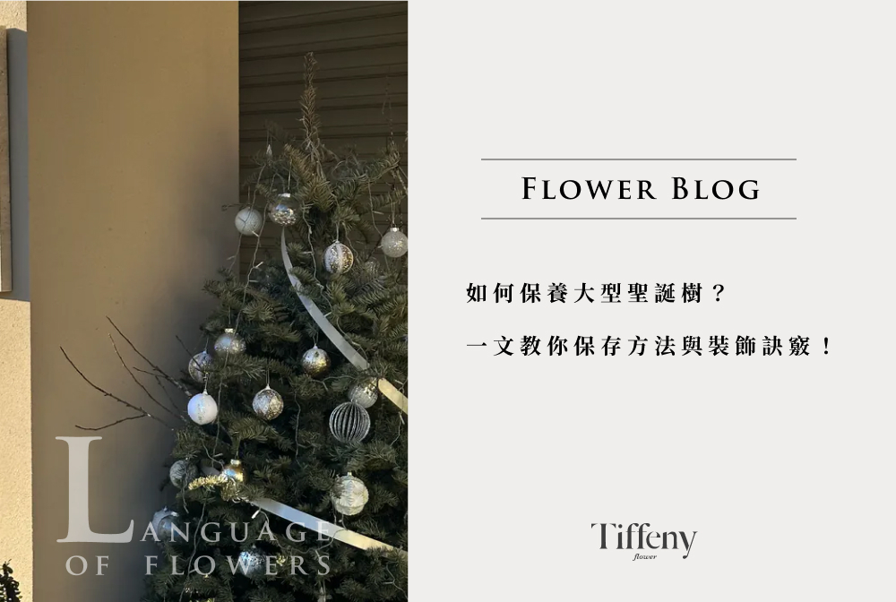 聖誕樹保存