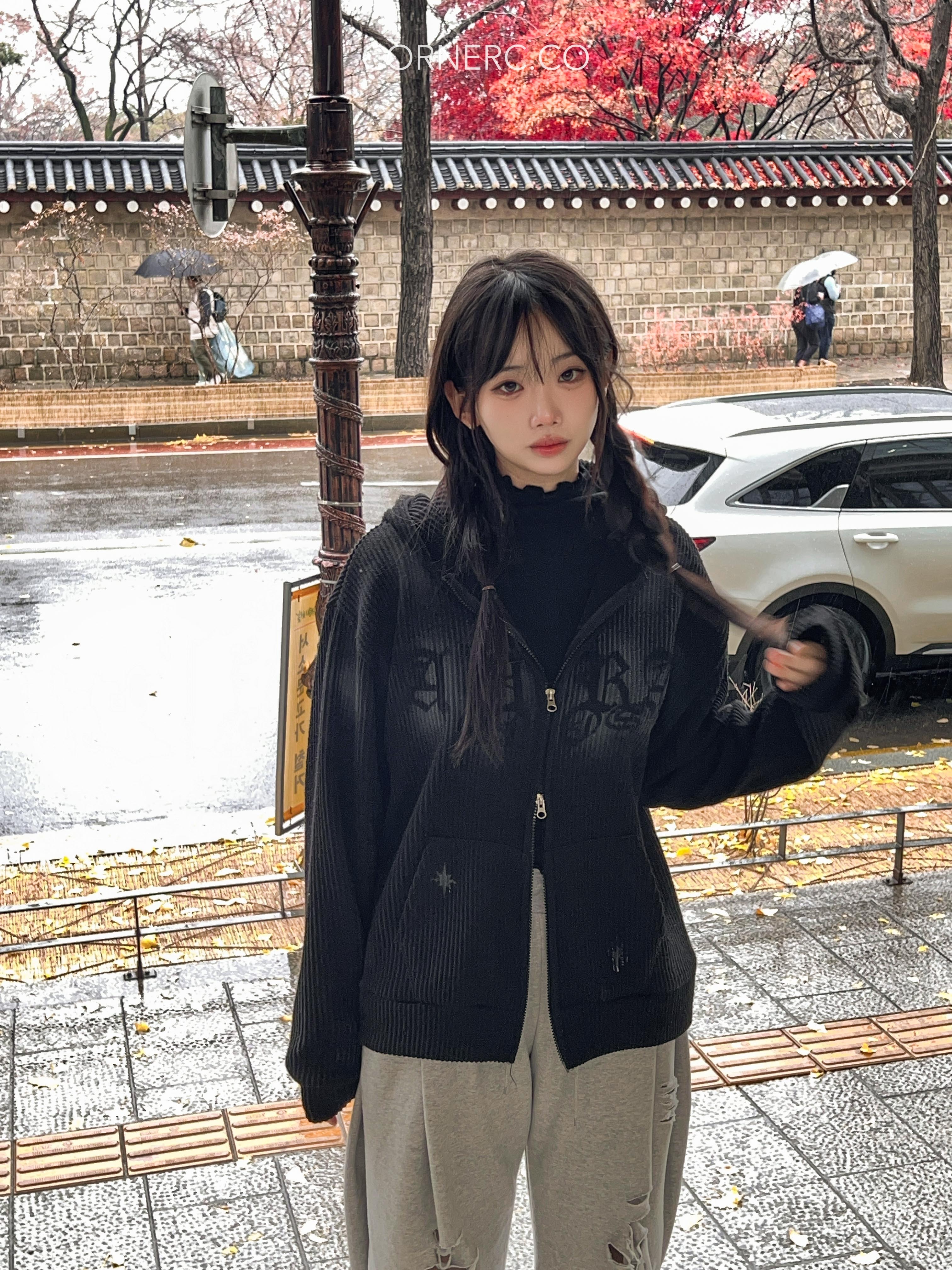 Low-key Unisex Knit Zip Hoodie〈🇰🇷DAY 1〉