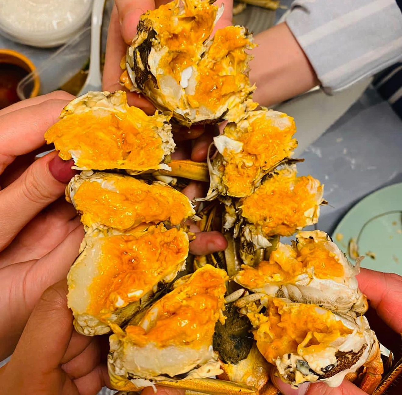 蟹季限定--太湖 巨大蟹公*4隻套餐（10-10.5両）