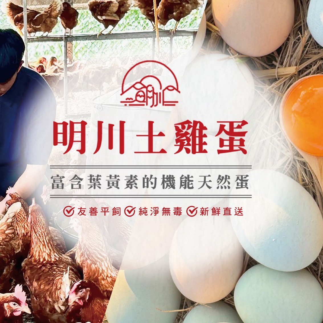 (團購)明川蛋品(03/03到貨)