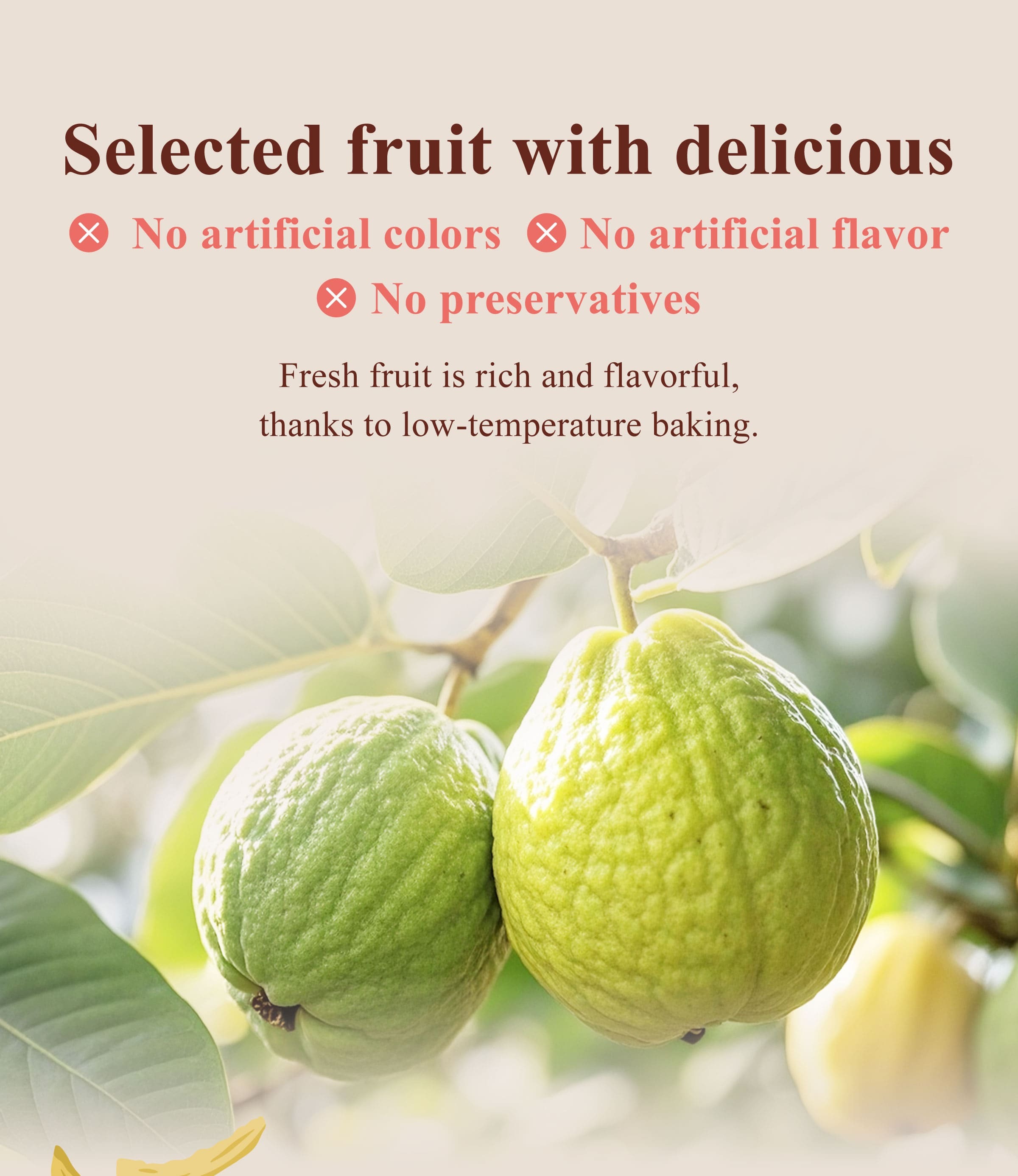 The Benefits of Dengyi Dried Fruit