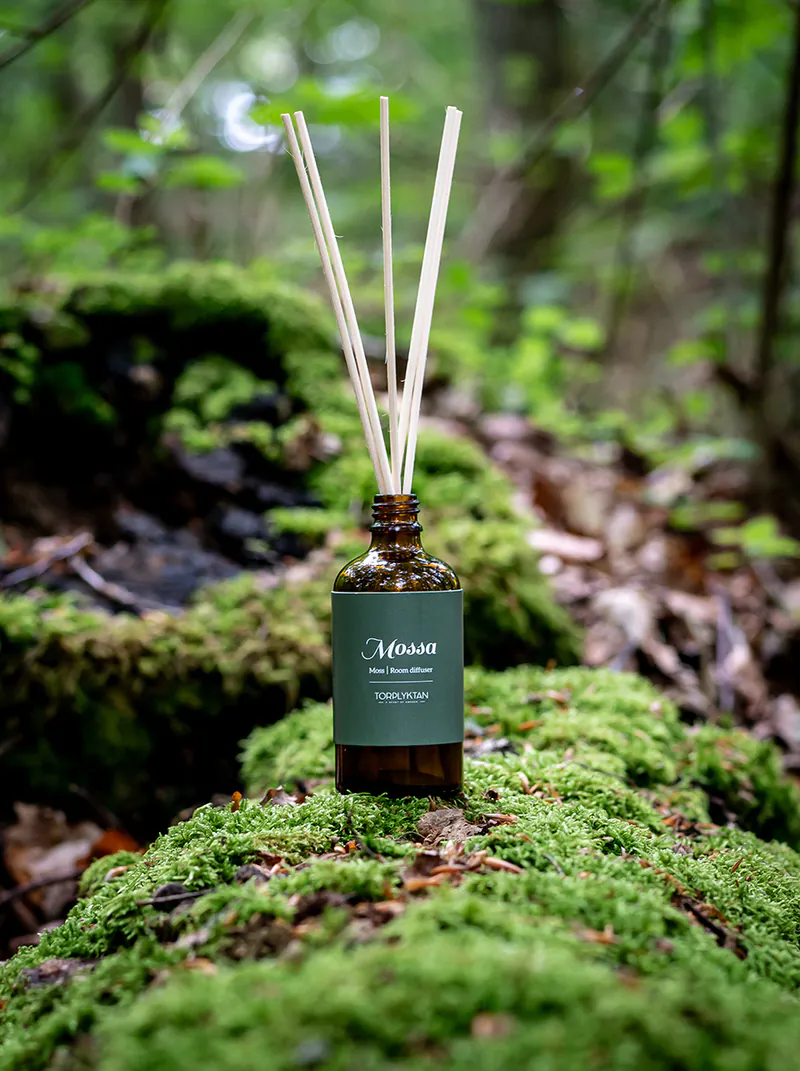 Torplyktan-北歐森林擴香,針葉樹、柔軟苔蘚與健康森林香調和諧結合,營造深沉而舒緩的香味