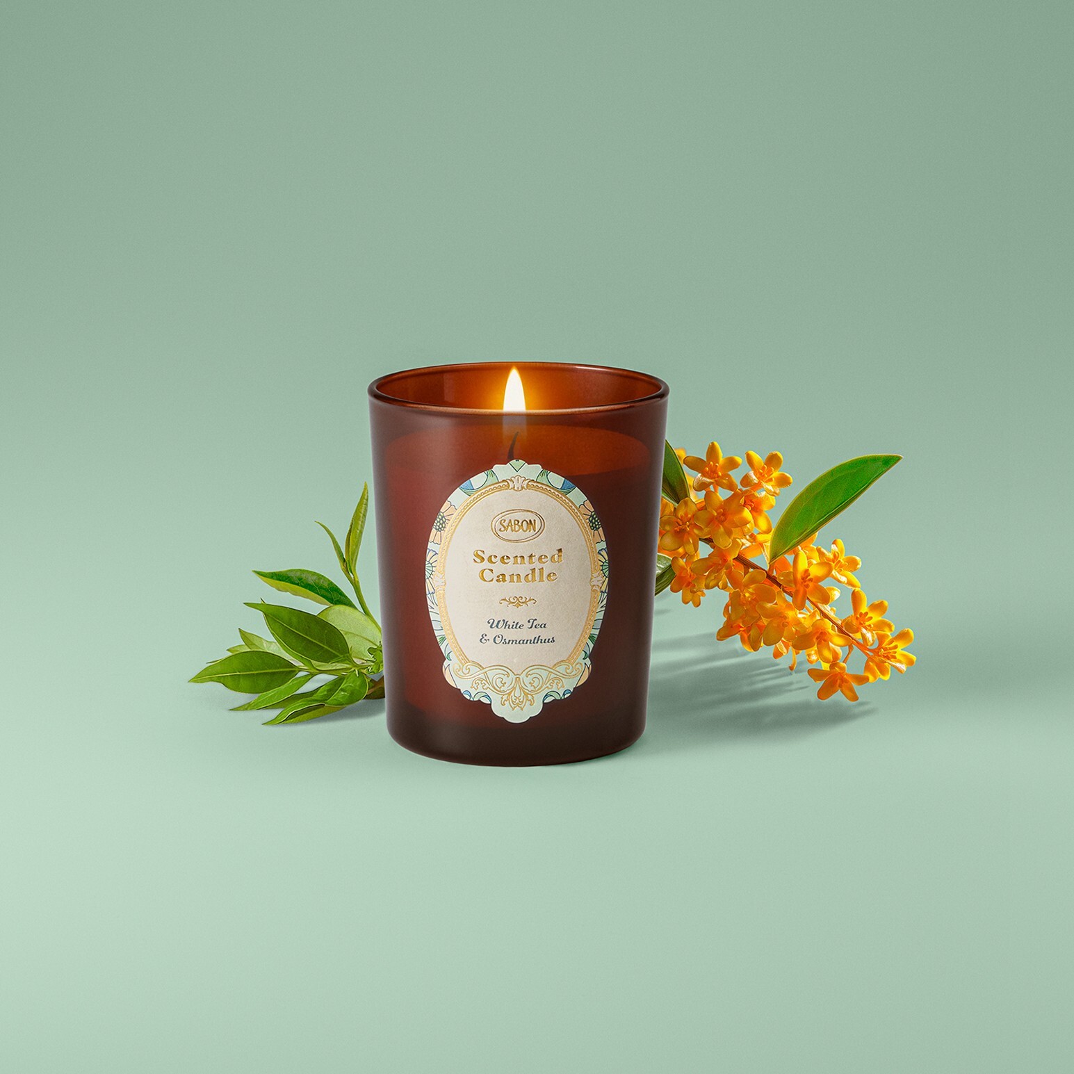 典藏蠟燭-愜意白茶180g