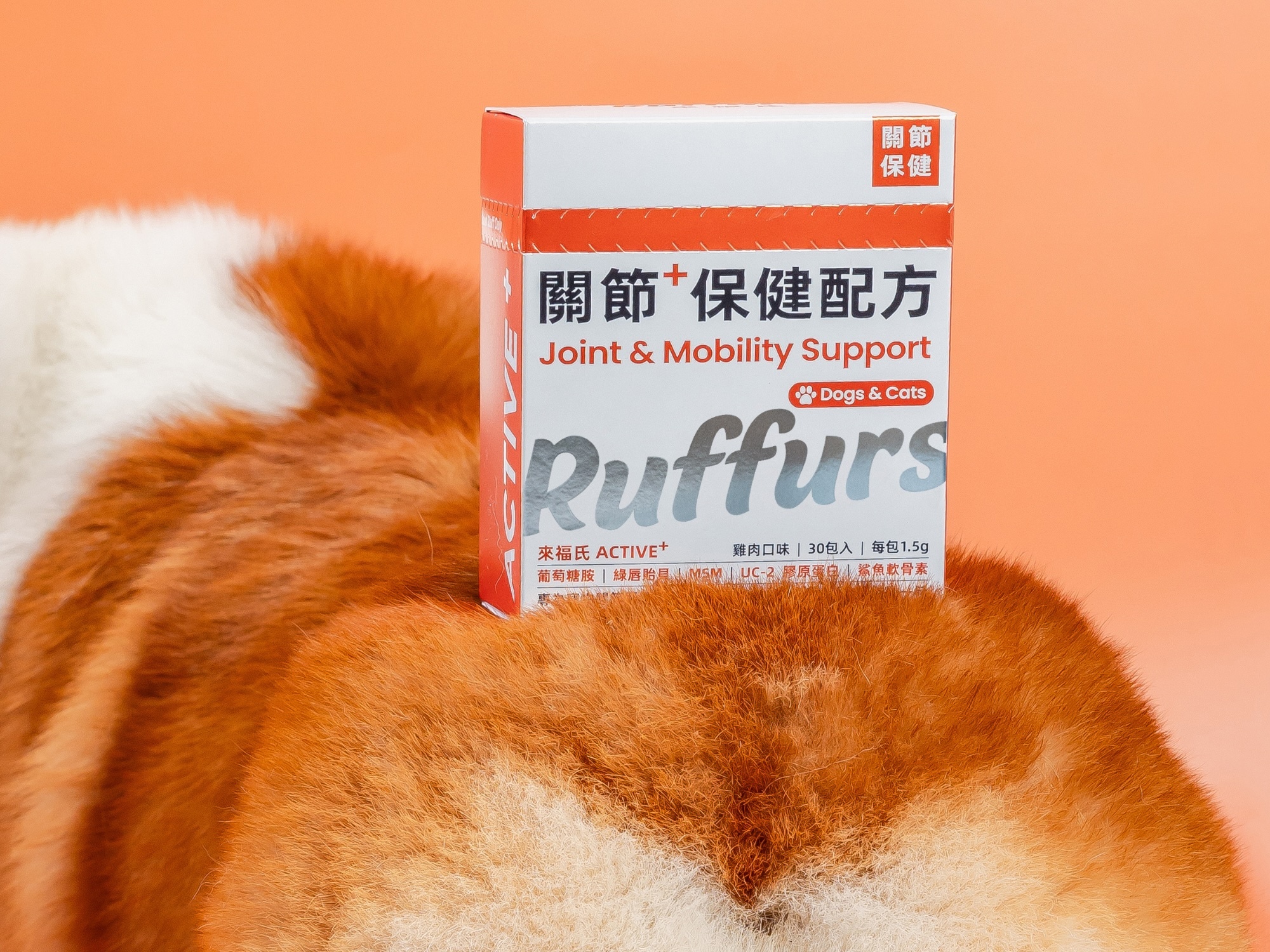 Dog eating with supplement