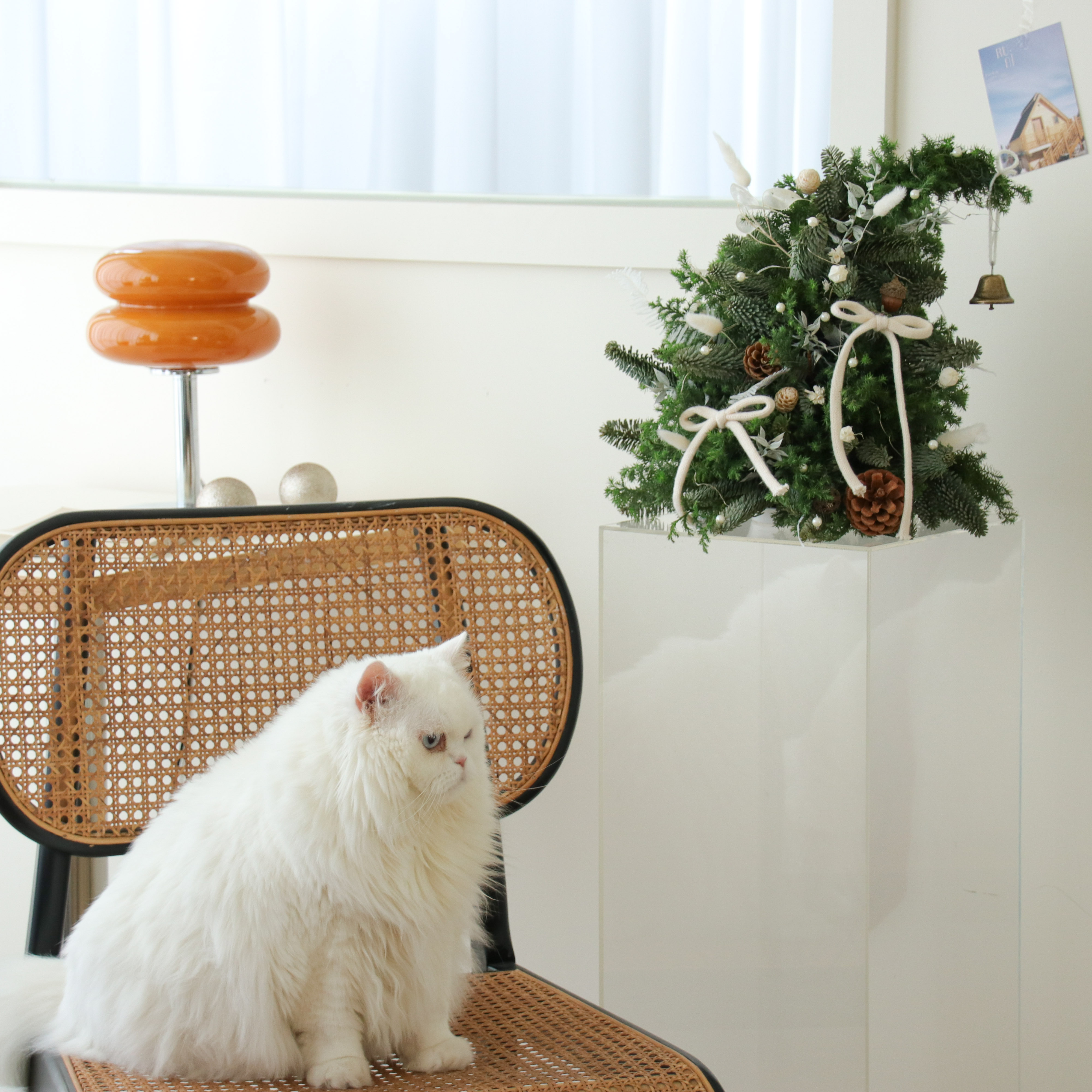 RUNI Christmas -雪白星願手工聖誕中樹🎄