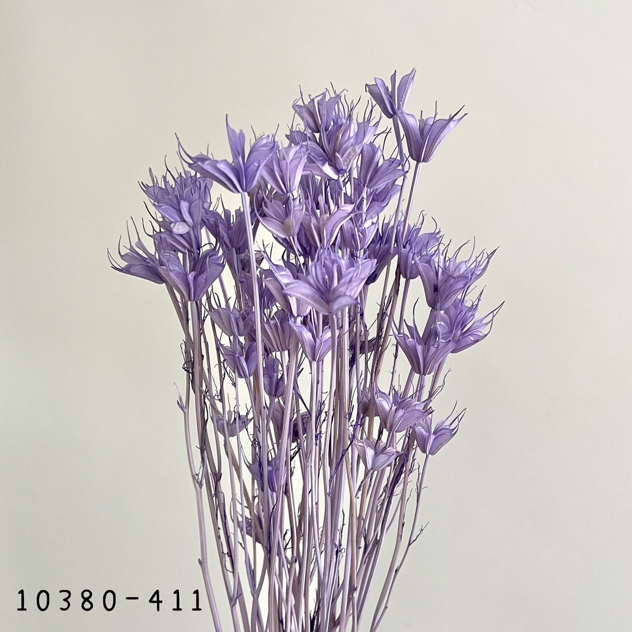 日本乾燥木百合 10380-411