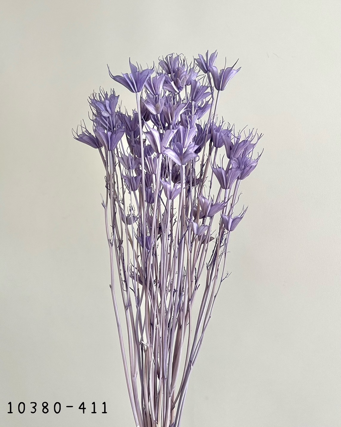 日本乾燥木百合 10380-411