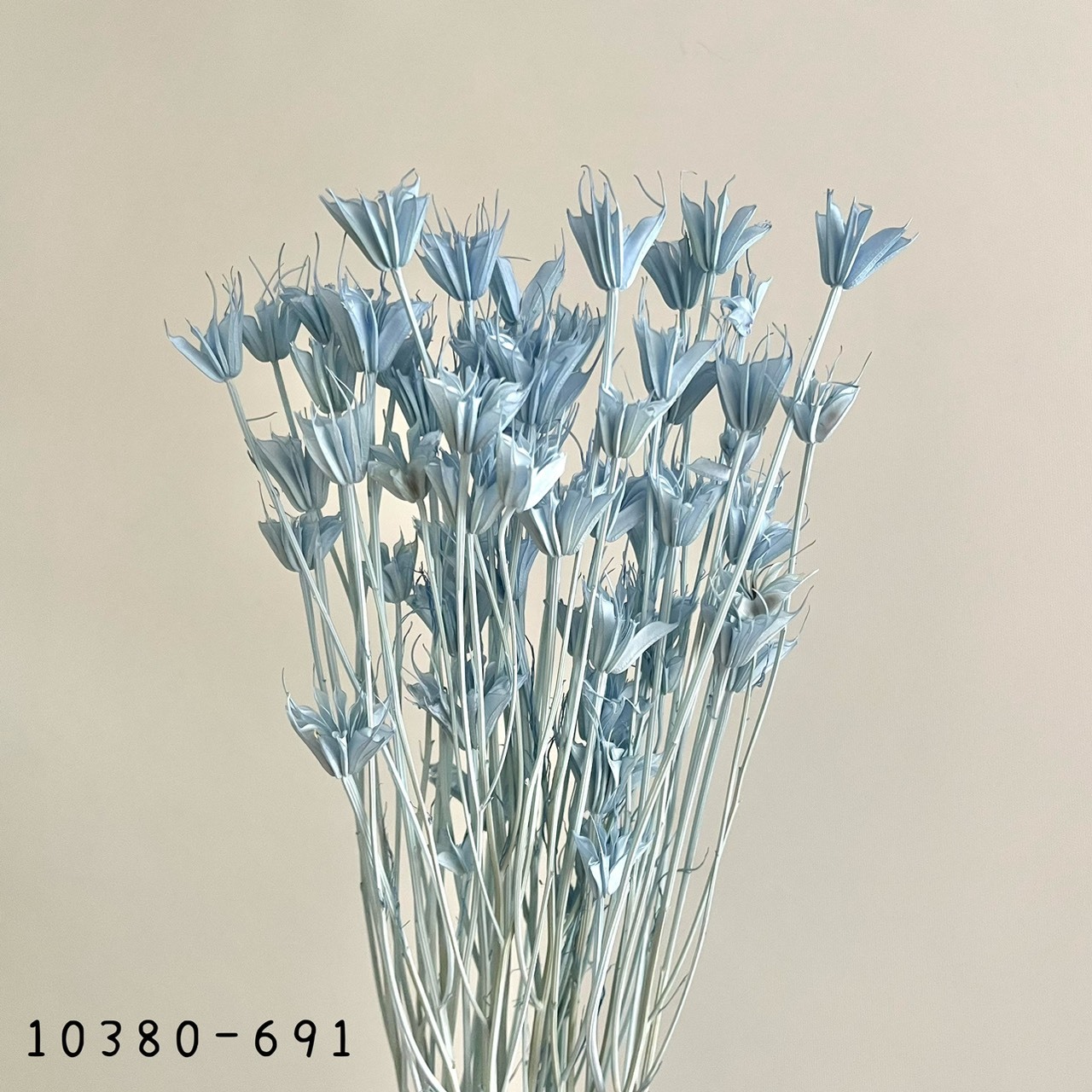 日本乾燥木百合 10380-691