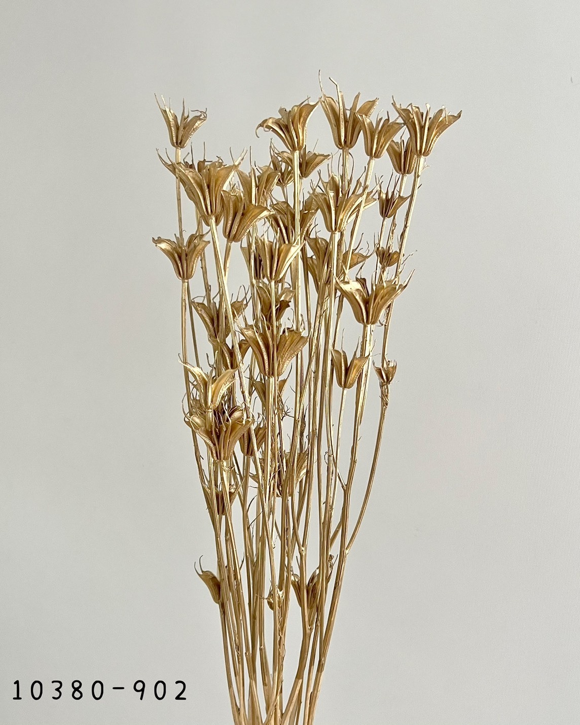 日本乾燥木百合10380-902