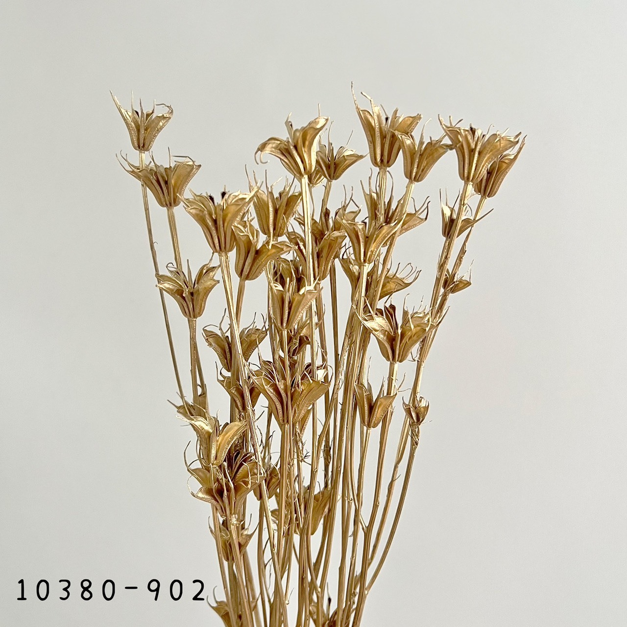 日本乾燥木百合10380-902