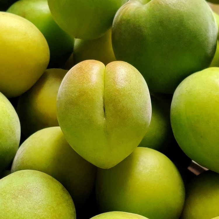 紫蘇梅棗泥餡-原料圖