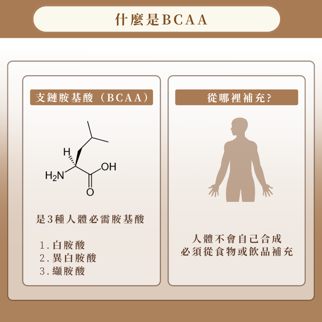 【母親節特輯囤貨組-69折起】王朝冷凍滴雞精環保組（ 20 / 60 / 100包）