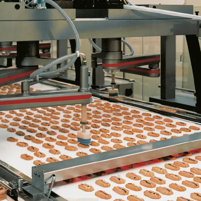 Forbo Siegling Transilon (Conveyor and Processing belt)