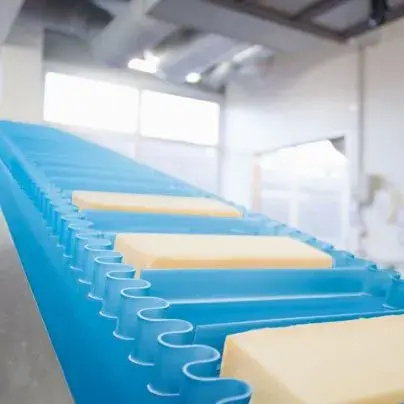 Forbo Siegling Transilon (Conveyor and Processing belt)