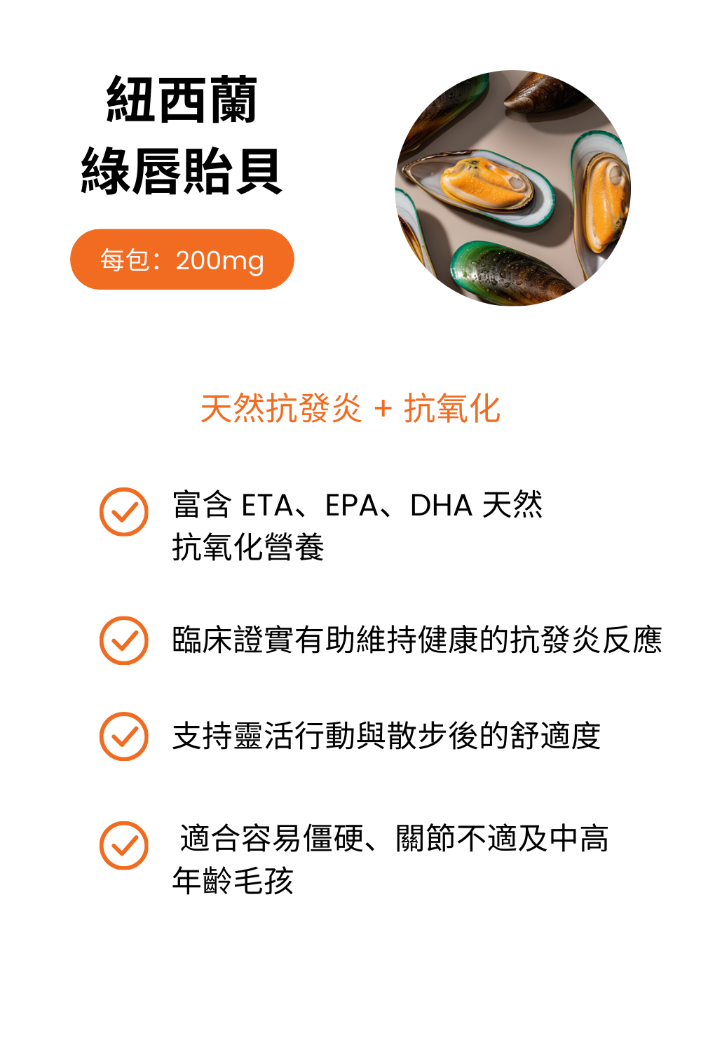 紐西蘭綠唇貽貝 圖片