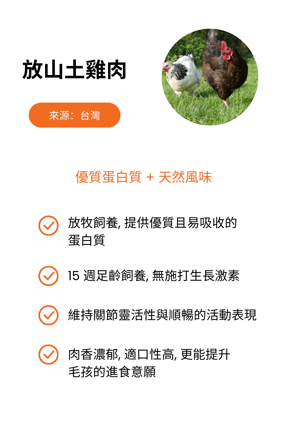 放山土雞肉粉 圖片