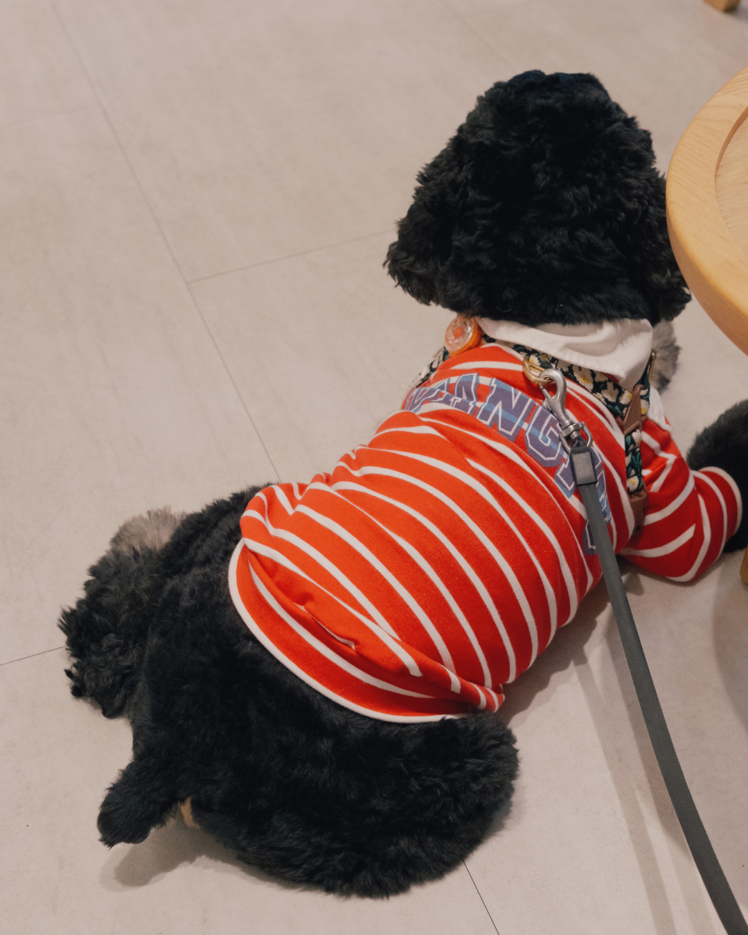 狂寵聖誕限量 - 客製姓名校園POLO衫  （黑條紋 / 紅條紋）