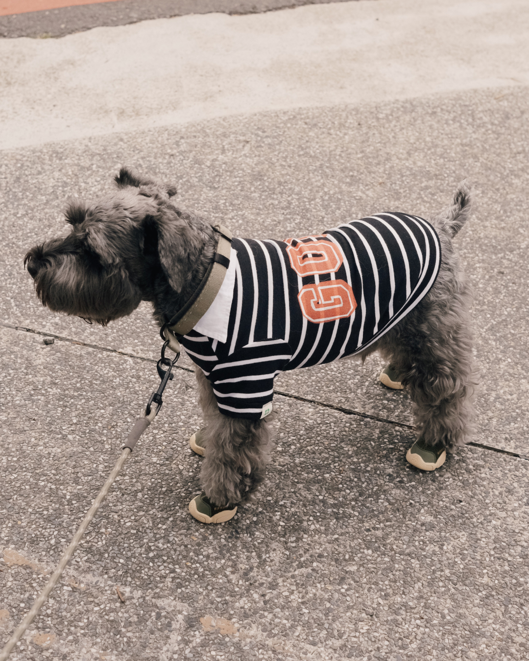 狂寵聖誕限量 - 客製姓名校園POLO衫  （黑條紋 / 紅條紋）