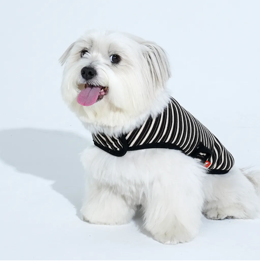 Puppy Gallery🇰🇷 Jam Jam 條紋披風 黑 寵物冬衣 寵物背心 狗狗冬衣 貓咪冬衣