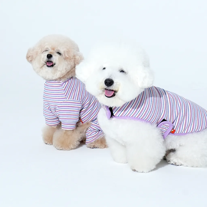 Puppy Gallery🇰🇷 Jam Jam 條紋披風 紫 寵物冬衣 寵物背心 狗狗冬衣 貓咪冬衣