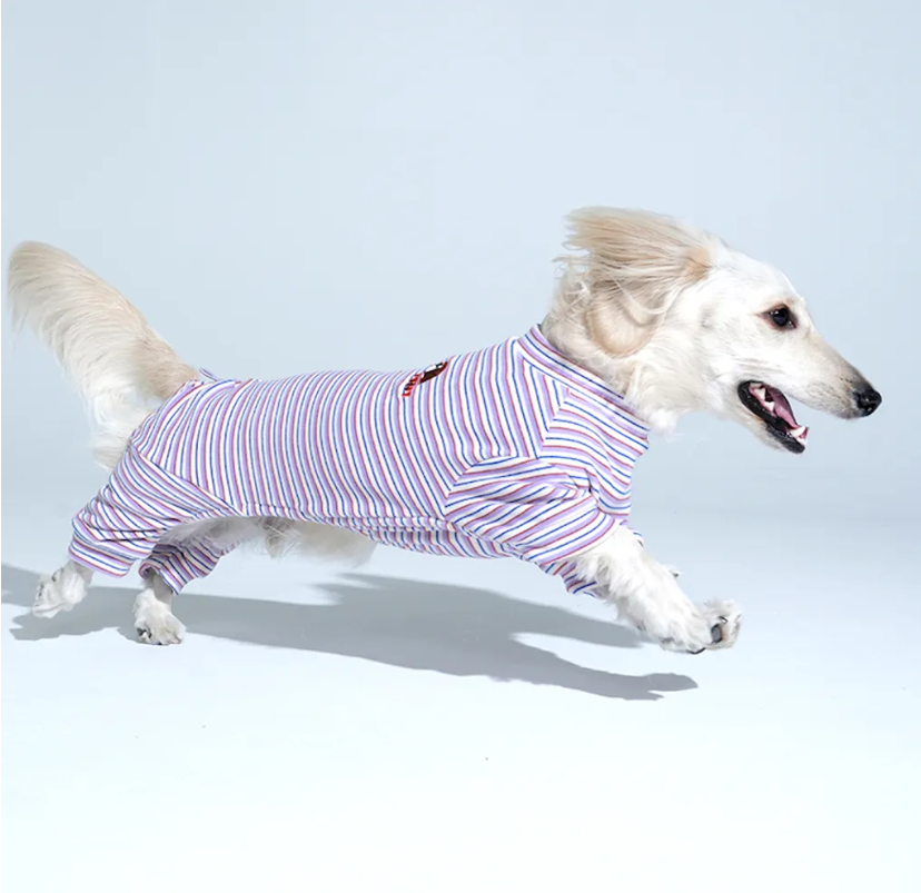 Puppy Gallery🇰🇷 Jam Jam 條紋四腳衣 紫 寵物冬衣 狗狗冬衣 寵物四腳衣 狗狗四腳衣