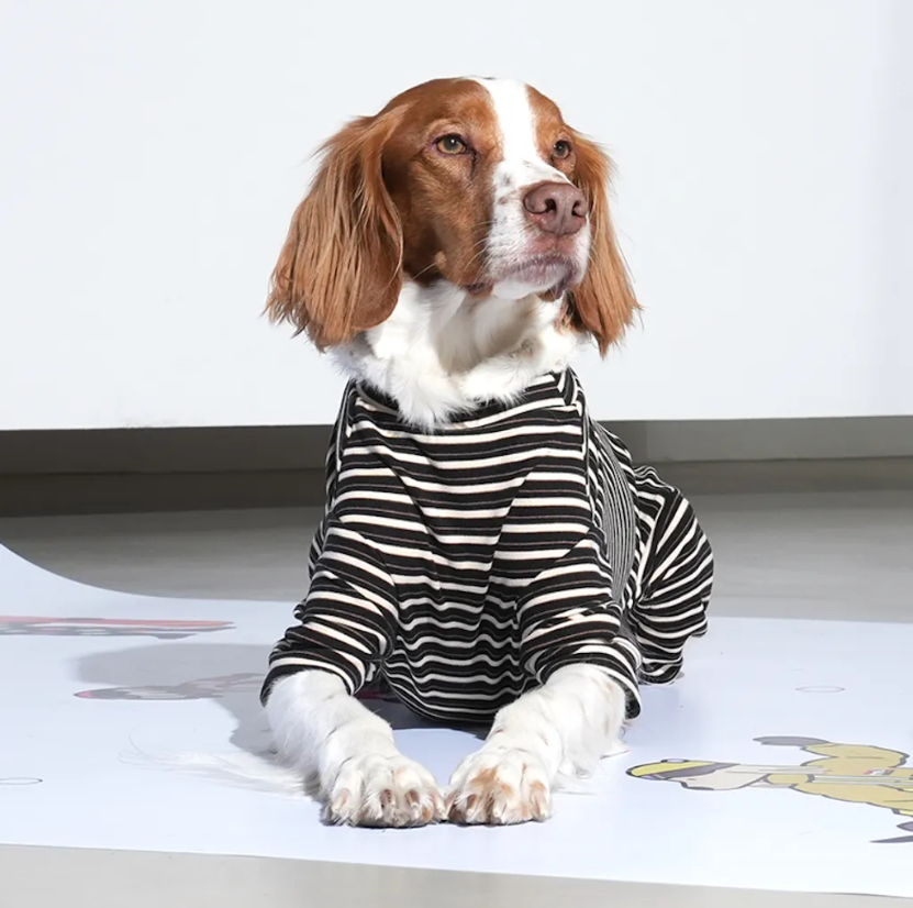 Puppy Gallery🇰🇷 Jam Jam 條紋四腳衣 黑 寵物冬衣 狗狗冬衣 寵物四腳衣 狗狗四腳衣