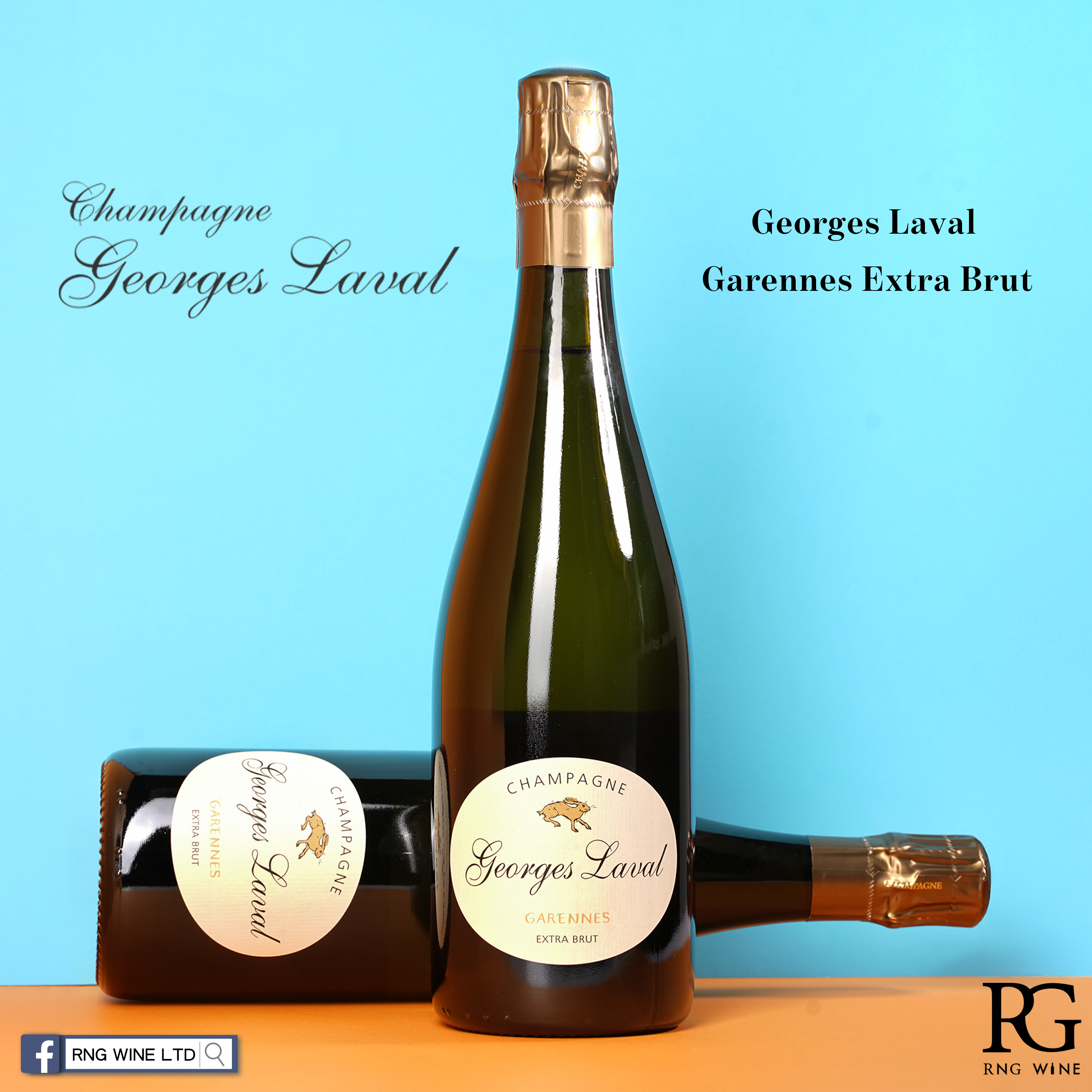 Georges Laval Garennes Extra Brut - 6 Bottle Pack