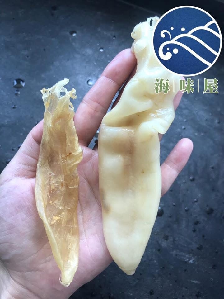 H20523 野生咸水金龍花膠筒150g