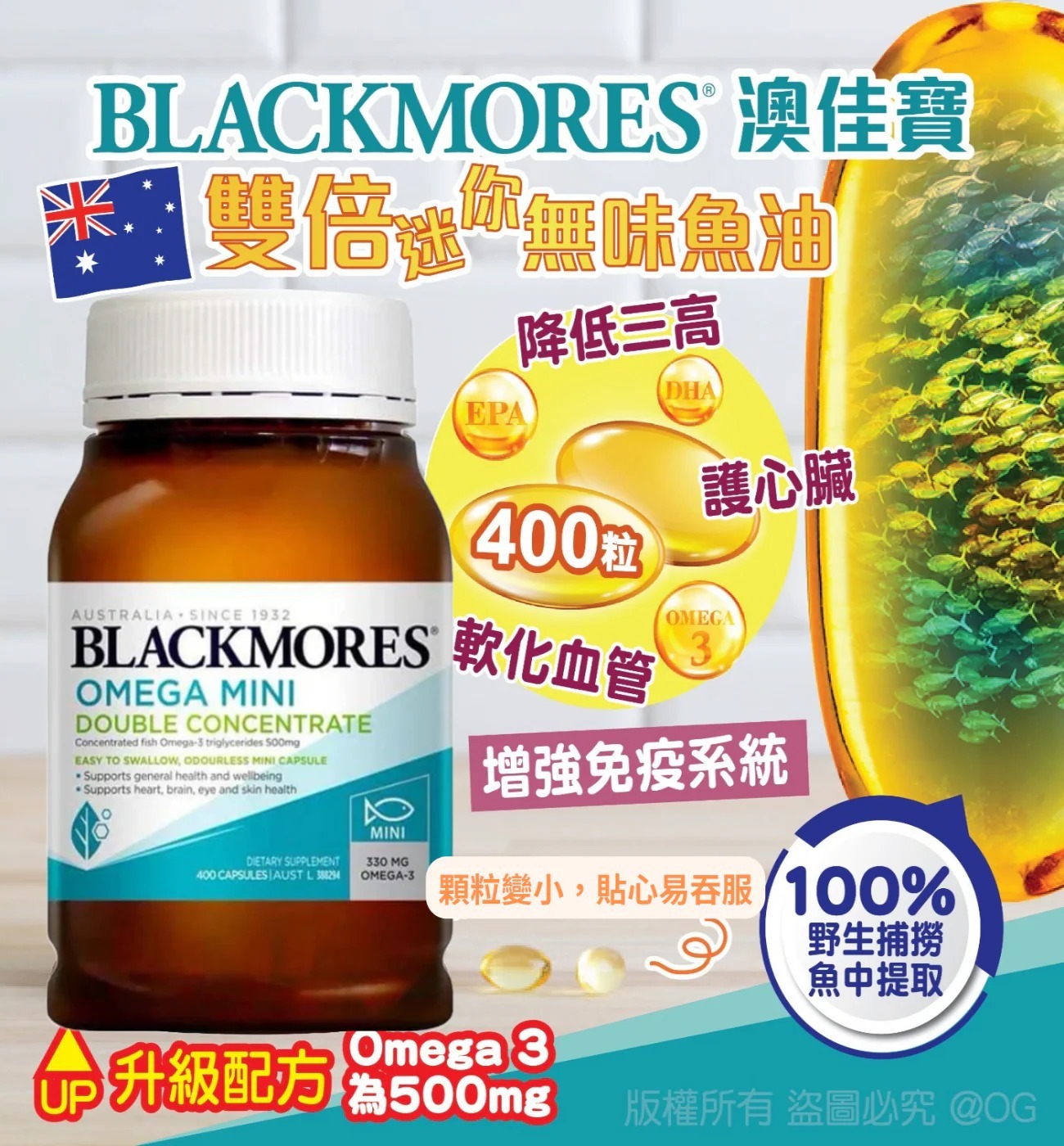 [M1354] [現貨] (K26) Blackmores 雙倍迷你無味魚油膠囊 400粒