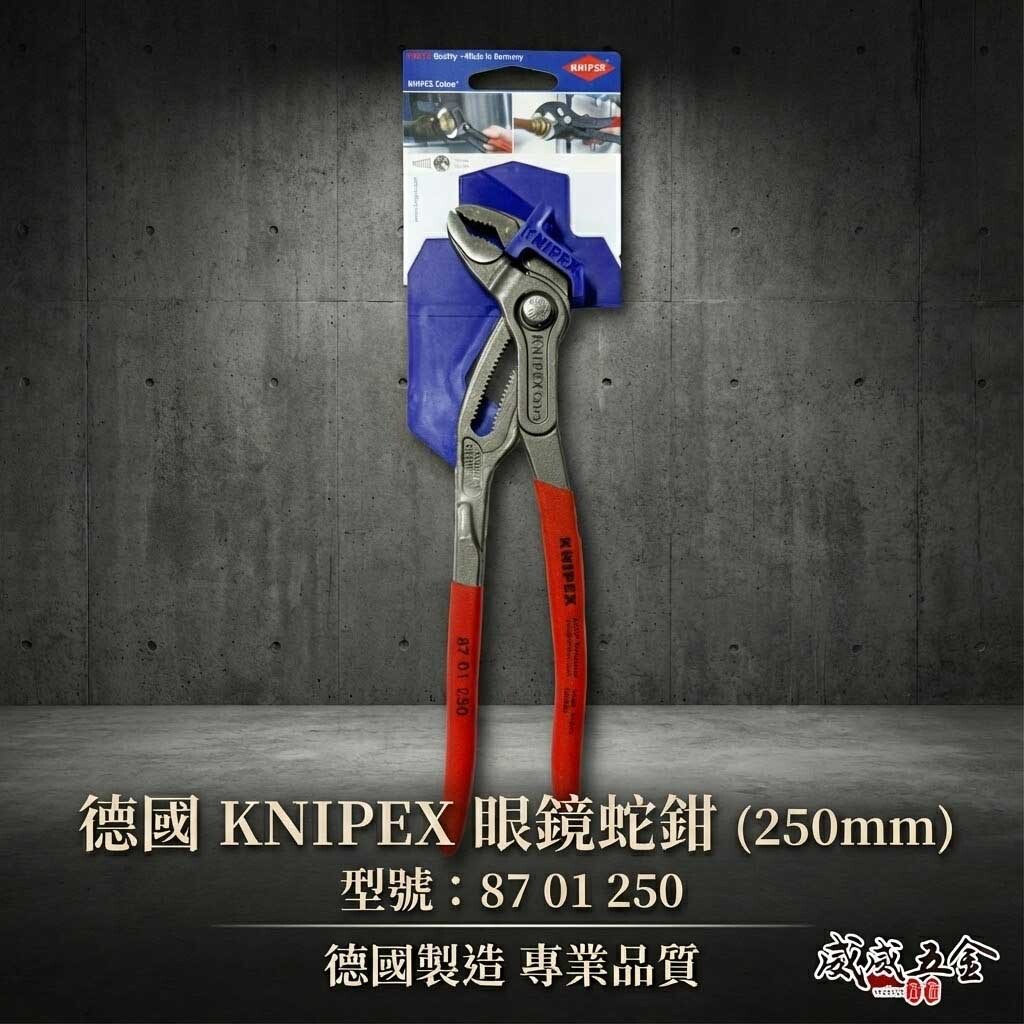 K牌 德國製 KNIPEX｜10" 膠柄 眼鏡蛇經典水管鉗 8701250 多功能水道鉗｜87 01 250