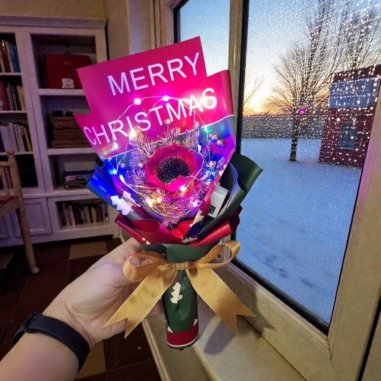 聖誕節乾燥花束,聖誕節花束,聖誕節禮物,Christmas dried flower bouquet (includes a transparent bouquet bag)