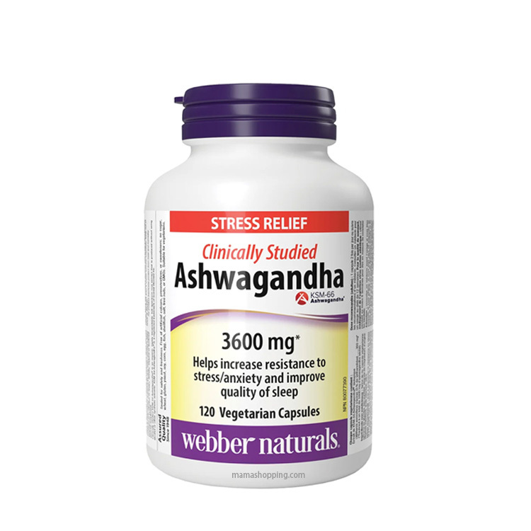 【現貨】Webber Naturals 印度人參精華 (Ashwagandha）3600mg 120 粒膠囊