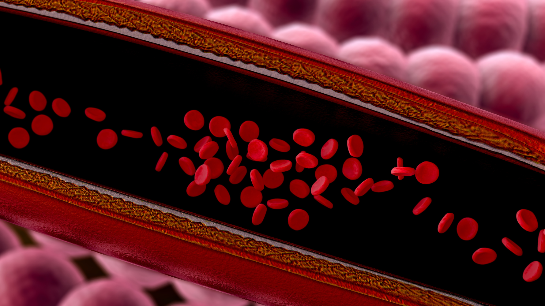 心臟病一旦發作，多半無法根治，只能靠藥物與營養補充來延緩惡化。因此，提早預防、維持血管彈性與心臟機能，才是守護毛孩長壽的根本之道。