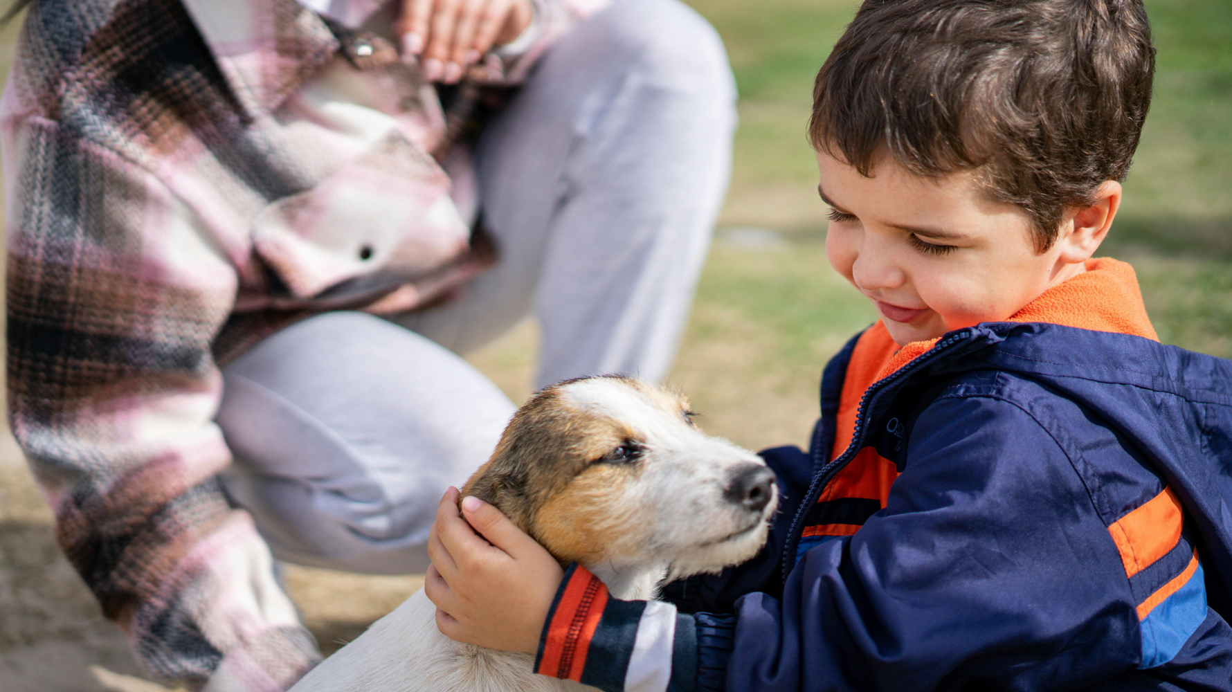 心臟病是中老年毛孩常見的慢性疾病之一，但許多飼主在初期並不清楚該如何辨識與照護。以下整理出最常見的 5 個關鍵問題，幫助你更了解毛孩心臟健康狀況。