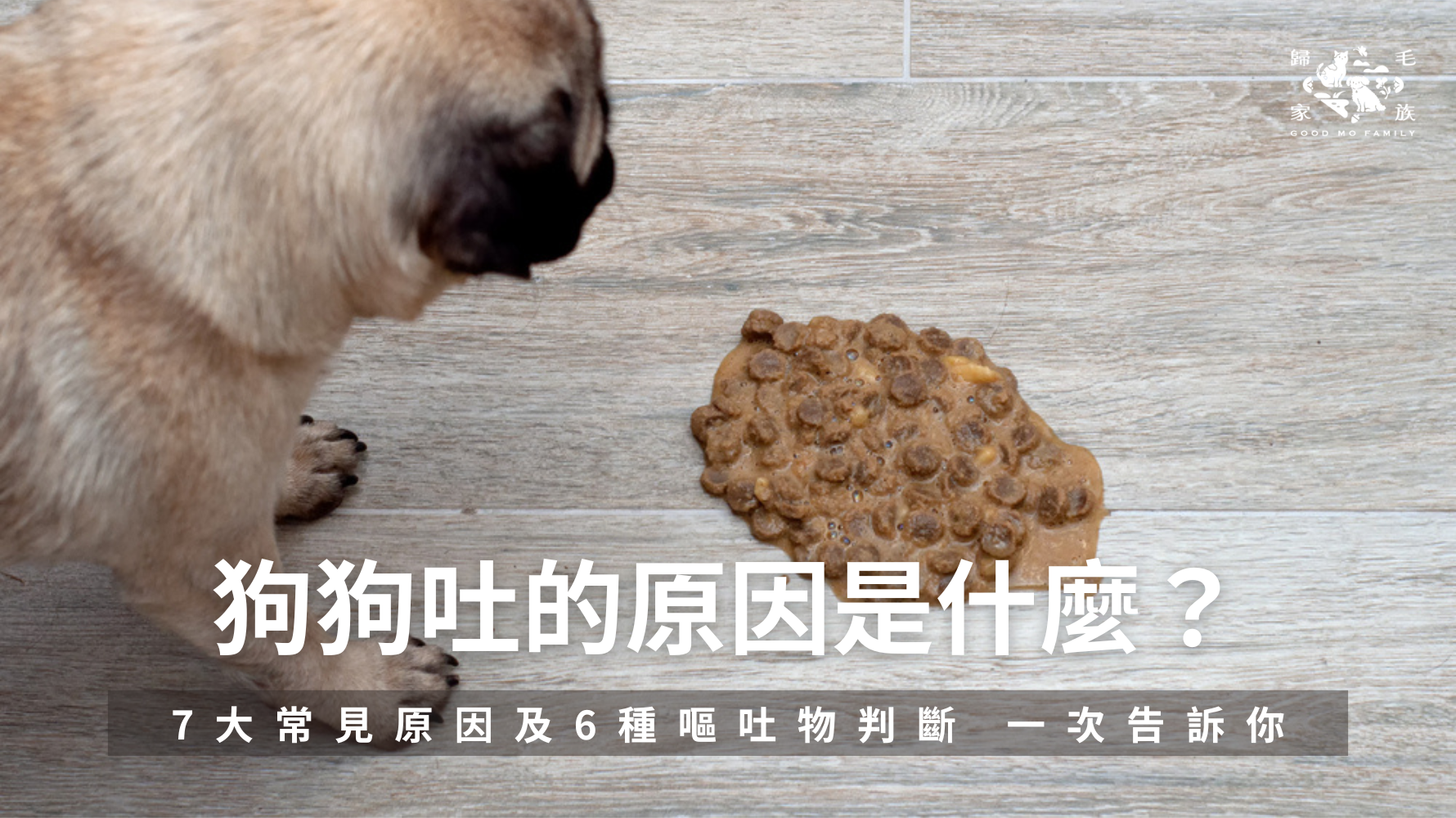 狗狗為什麼會吐？是吃太快、換食太急，還是因為喝水太多？面對狗狗嘔吐，最重要的是先從原因與嘔吐物的特徵開始判斷。