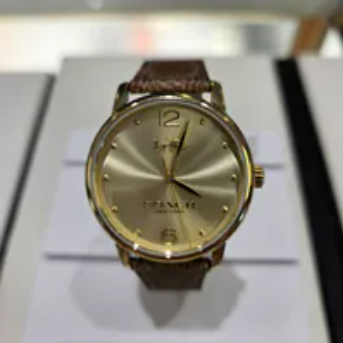 [U] LUXURY WATCH COACH 14504436 GRAND 36MM WOMEN'S WATCH STAINLESS STEEL BROWN PVC STRAP,BROWN, 885997585538 (ULW11)