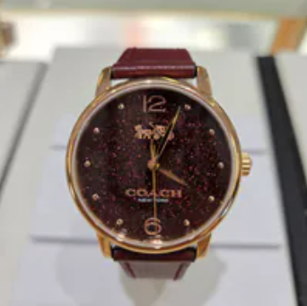 [U] LUXURY WATCH COACH 14504434 GRAND 36MM WOMEN'S WATCH STAINLESS STEEL BURGUNDY PVC STRAP,BURGUNDY, 885997585514 (ULW15)