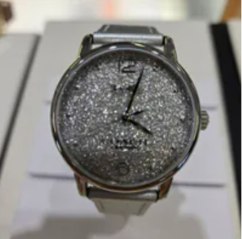 [U] LUXURY WATCH COACH 14504433 GRAND 36MM WOMEN'S WATCH STAINLESS STEEL SILVER PVC STRAP,SILVER, 885997585507 (ULW17)