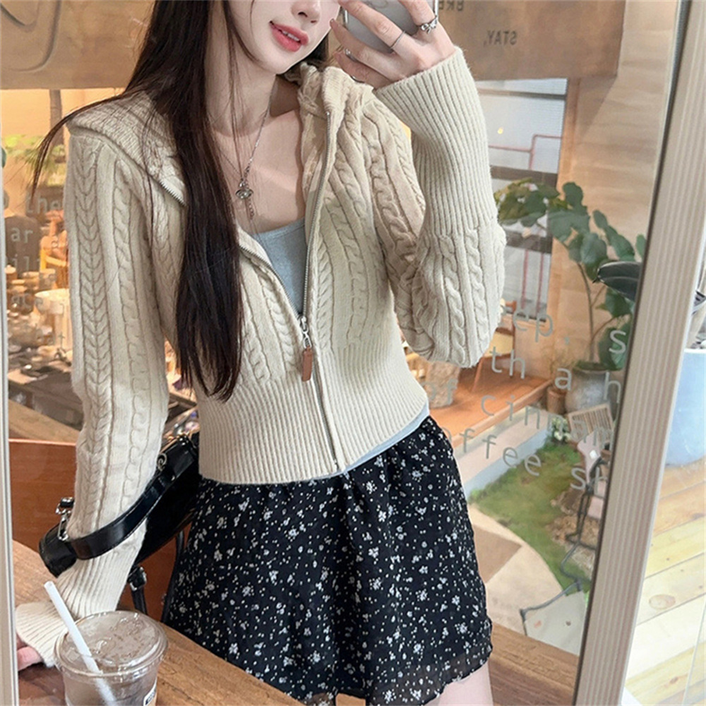 Korean Cozy Cable-Knit Hoodie Cardigan