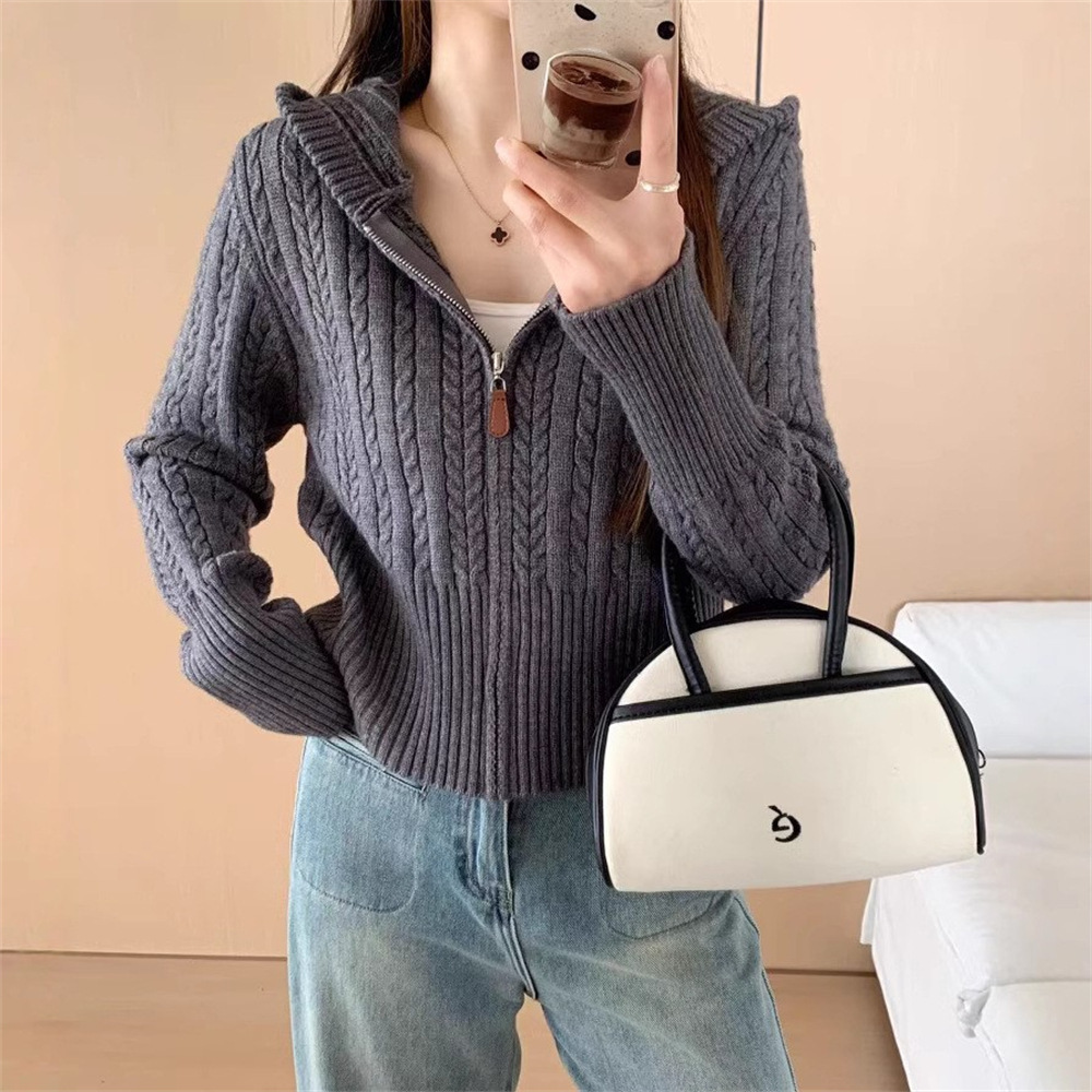 Korean Cozy Cable-Knit Hoodie Cardigan