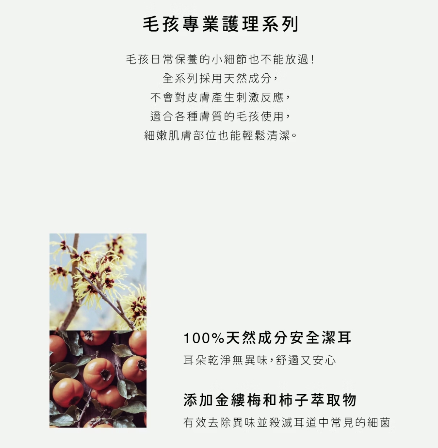 【 DOGGY POTION 】寵物天然潔耳液