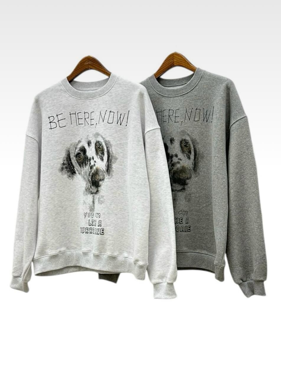 英文字圖案衛衣(薄抓毛底) 12GAUGE-060T