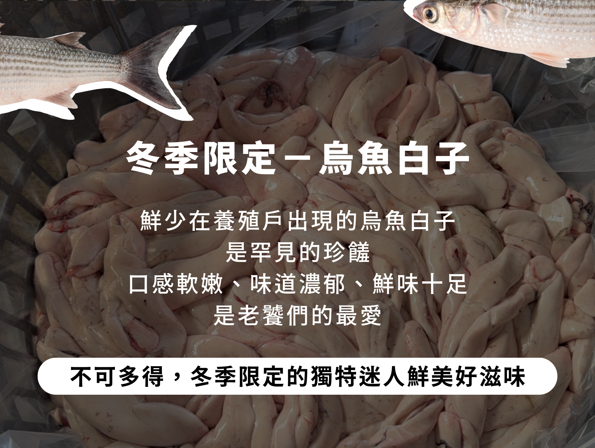 不可多得，冬季限定的獨特迷人鮮美好滋味，鮮少在養殖戶出現的烏魚白子 是罕見的珍饈 口感軟嫩、味道濃郁、鮮味十足 是老饕們的最愛
