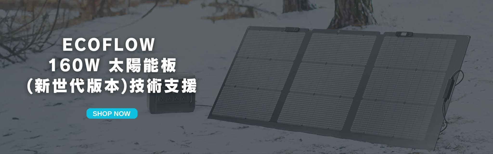 EcoFlow 160W 太陽能板推薦, 太陽能板選購指南, 太陽能板比較, 160W 太陽能板 CP 值, EcoFlow 太陽能板評價