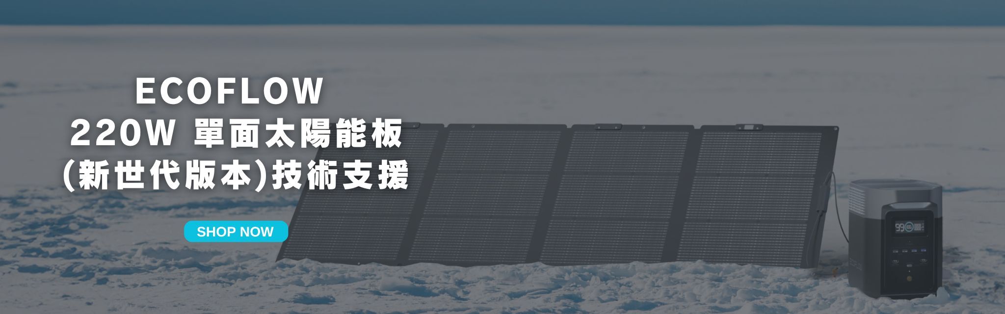 EcoFlow 220W 太陽能板, EcoFlow 220W 便攜太陽能板, 220W solar panel, EcoFlow solar panel 220W, 便攜式太陽能板